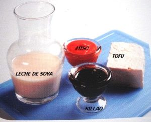 productos derivados de la soya